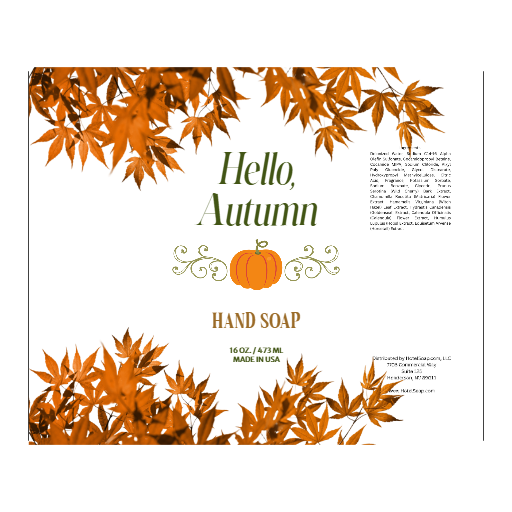 HotelSoap.com Custom Design